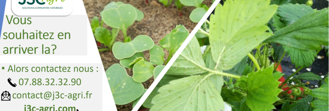 Vous souhaitez en arriver la ?